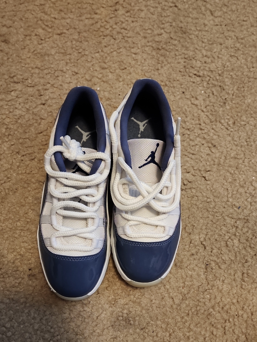 Jordan 11 Low